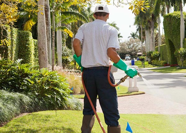 About Rouzerville PA Pest Control